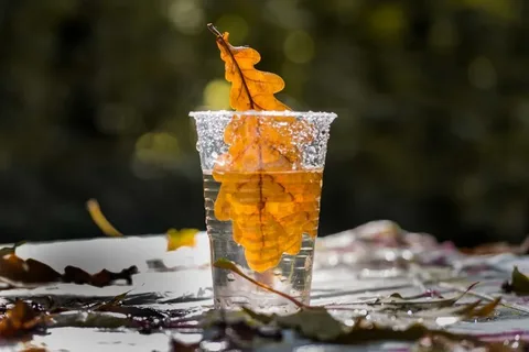 Чистая вода